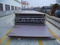 Steel plate for for Boiler Pressure Vessel BS 1501 161Gr.360/164Gr.360 2