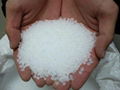 Virgin & Recycle Polypropylene  PP Granules n  Resin