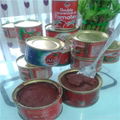 70g tomato paste high quality 2