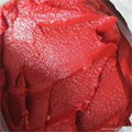 tomato paste in drum 3