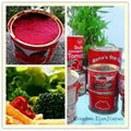 198g caned tomato paste for seasoning 2