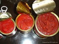 850g caned tomato paste with competitive price 1