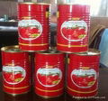 850g caned tomato paste with competitive price 2