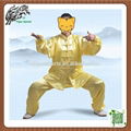 Chinese traditional martial arts taiji