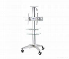 Mobile flat panel stand 