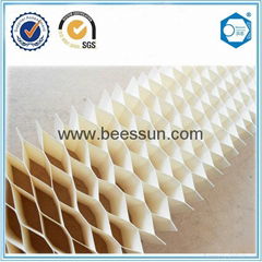 Beecore paper honeycomb core