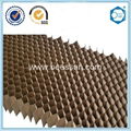 Beecore paper honeycomb core for processing door 3