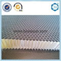 Beecore aluminum honeycomb core for