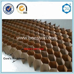 Beecore paper honeycomb core for clean room
