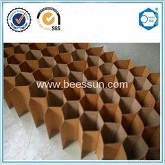 Beecore paper honecyomb core for decorative sheet