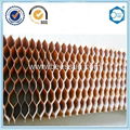 Beecore paper honecyomb core for decorative sheet 3