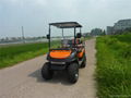 off road gas golf cart with 4 seats