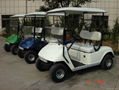 electric 2 seat golf cart for dealers 1