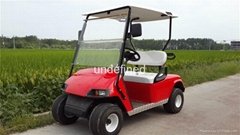 2 seat gas golf cart with competitive