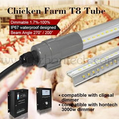 LED poultry light dimmable weraterproof led lights