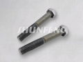 HEX BOLTS