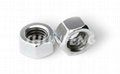 Hex Nuts 2