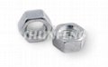Hex Nuts 3