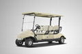 4 seaters electric go cart for golf gift 1