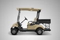 electric utility golf cart for self balancing scooter 5