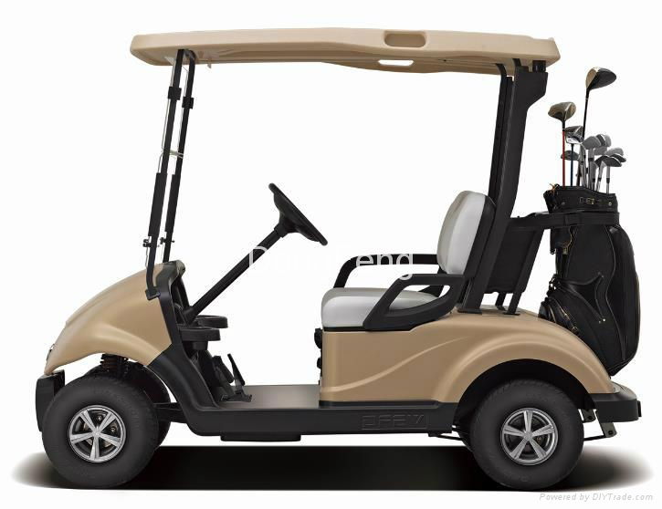 2 seats electric golf cart 3