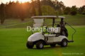 2 seats electric fleet golf trolley