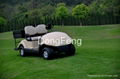 2 seats electric fleet golf trolley estate car  2