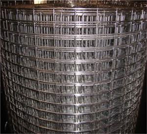 Welded Wire Mesh