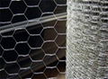 Hexagonal Wire Netting 1