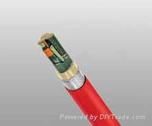 IEC60092 Offshore & Marine Cable 4