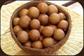 Macadamia Nuts Best Price