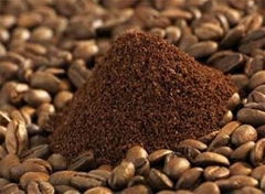 Vietnam Robusta Coffee Grade 1 Best Price