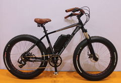 Newest Electric Snow Bike with 350W 48V Rear Motor