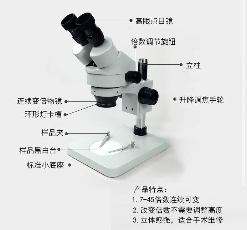 双目显微镜 4