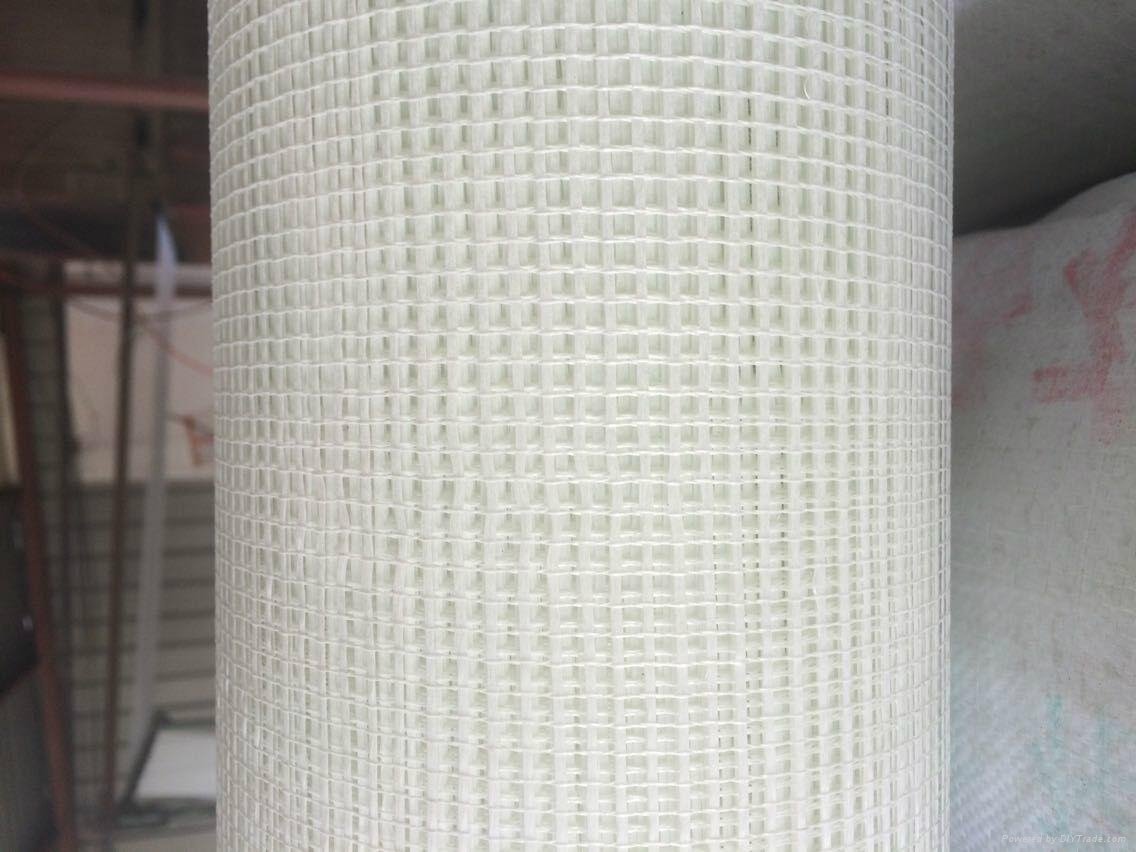 fiberglass mesh 1m*50m