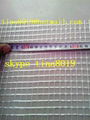 Fiberglass Mesh 160g/m2 1