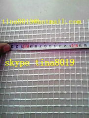 Fiberglass Mesh 160g/m2