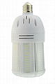 LED corn light 20W Ampoules LED LED Acorn Bulb 1