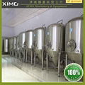 Home used beer brewing equipment mini