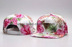 Wholesale and retail New arrival and Fashion Hiphop Cap