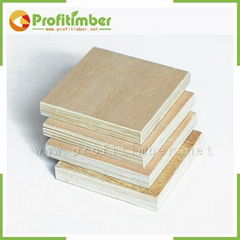 Best Price Commercial Plywood Board
