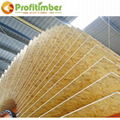 CARB Certification High Quality Good Wooden Panel OSB 3