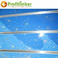 Hot Sale Wholesale PVC Slatwall Panel 3