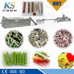 Pet chewing food processing line