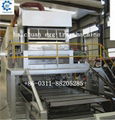 Automatic egg tray machine haichuan in custom 1