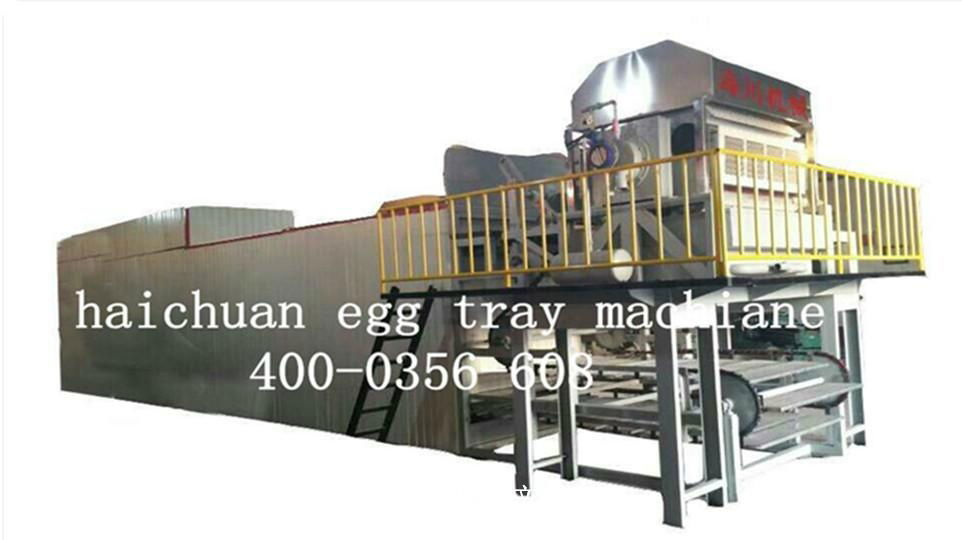 Automatic egg tray machine haichuan in custom 3