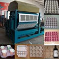 Automatic egg tray machine haichuan in custom 5