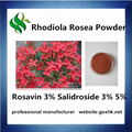 Rodiola Rosea Extract 1