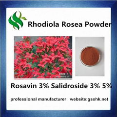 Rodiola Rosea Extract