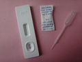 factory sale infectious disease HIV rapid test with CE&ISO 3
